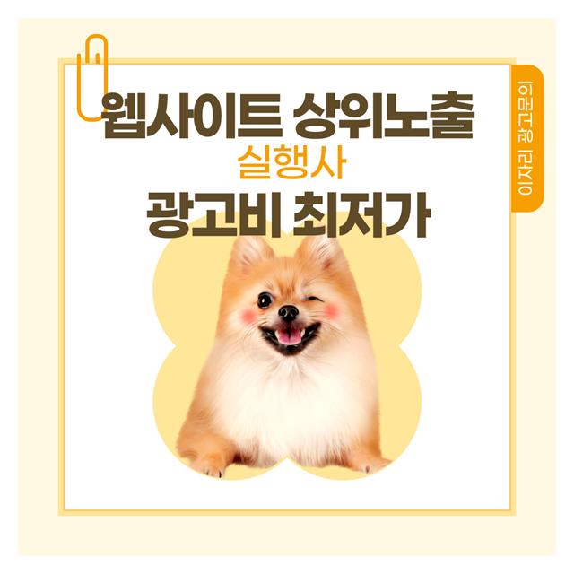 서울강아지분양 상위노출
